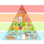 La pirámide alimenticia: Aprende a interpretarla